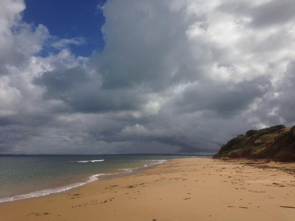 PIWalkabout's tweet image. Highlights