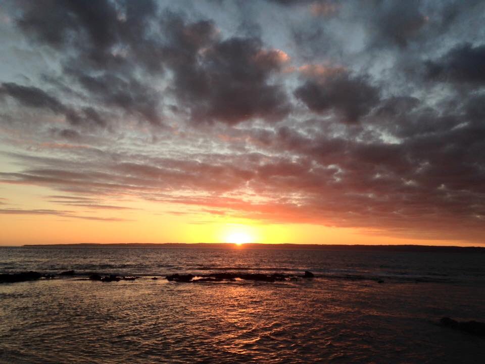 PIWalkabout's tweet image. Highlights of Phillip Island Walkabout