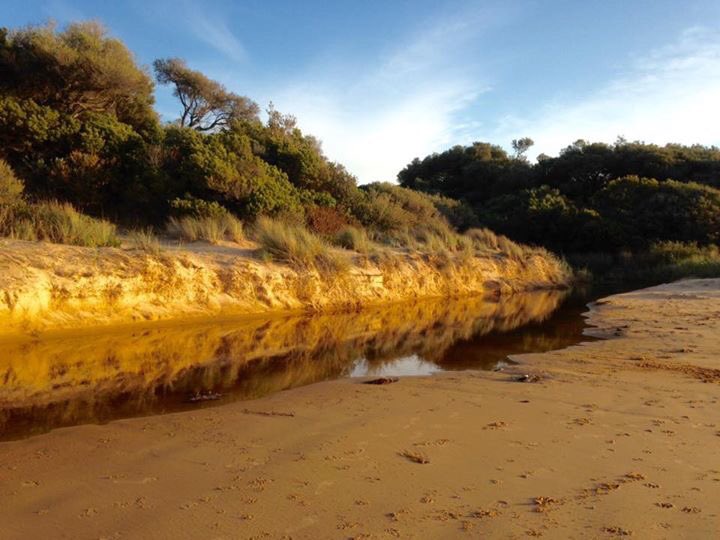PIWalkabout's tweet image. Highlights of Phillip Island Walkabout