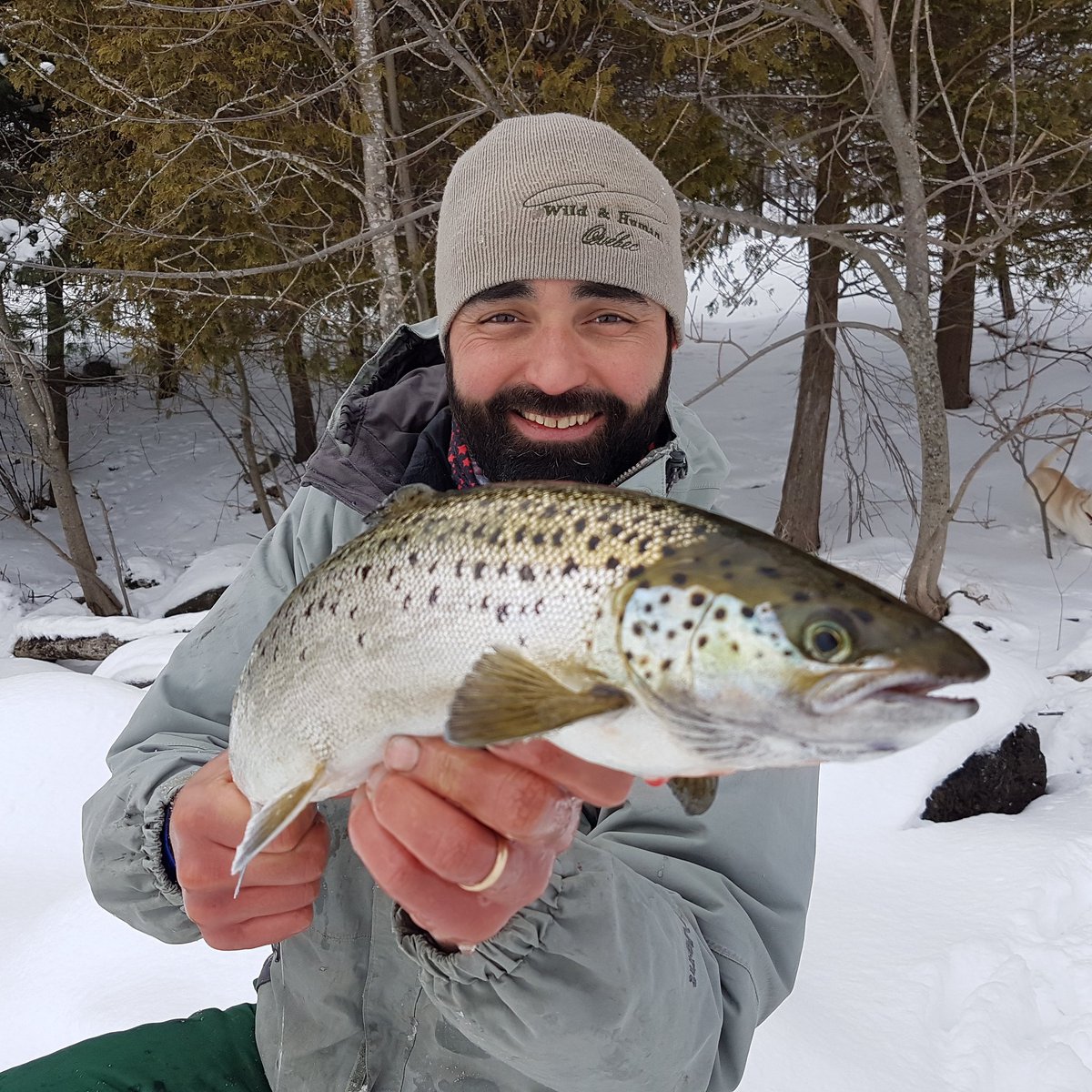 DgWildhuman's tweet photo. From the Wild&amp;HumanQc Team in Canada. That's the salmoides festival! 🐟❄ #salmo #salar #brown #trout #icefishing #team #support #onthetop https://t.co/bLiJwkKlyw