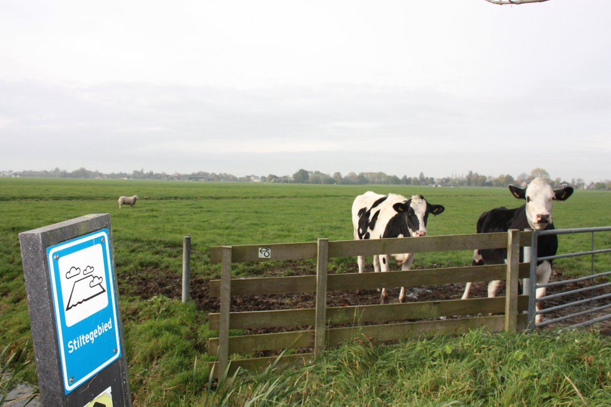 Ook gemeente Zoeterwoude stuurt foto's in voor de facebookpagina en twitterpagina van de Omgevingsvisie! #Omgevingsvisie2040