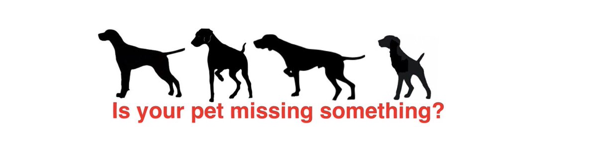 invisible_point's tweet photo. Is your pet missing something?  We have something for everybody. Visit https://t.co/o4XQT4Q8a3 #smalldogs #bigdogs https://t.co/kl7YJ6sqrv