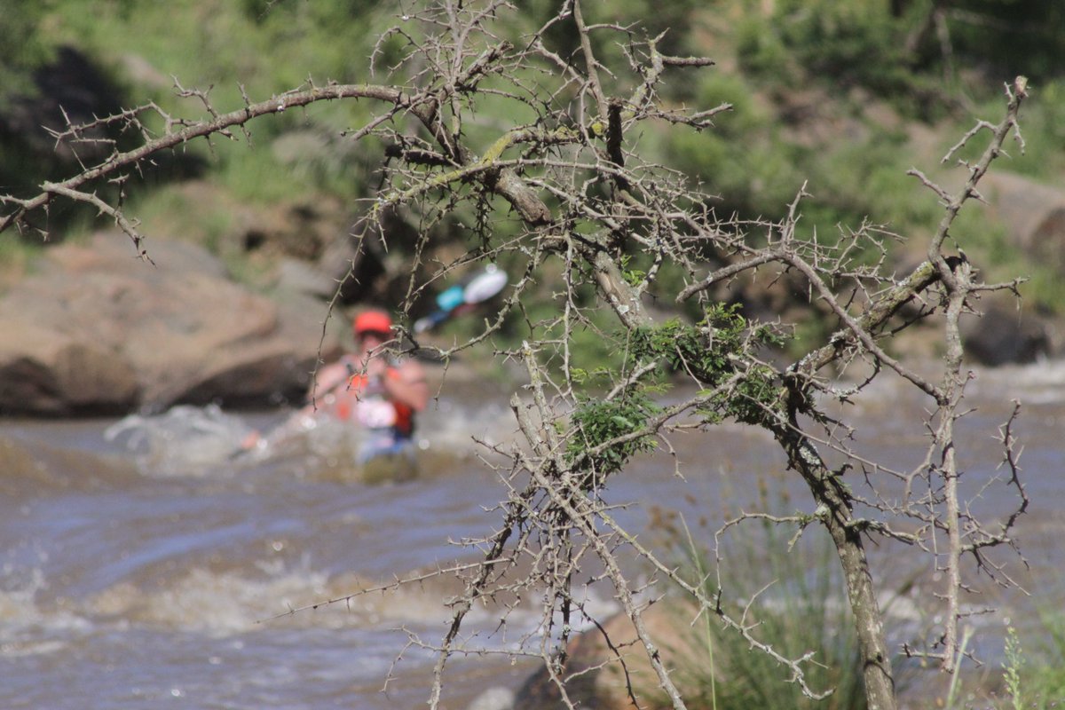 EuroSteelSport's tweet image. 1 week to go ... @DusiCanoe paddlers will be registering this time next week, getting ready to take on the challenges of another Dusi.