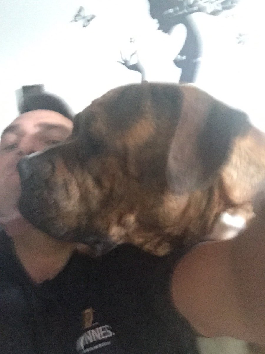 gedroy's tweet image. Big head