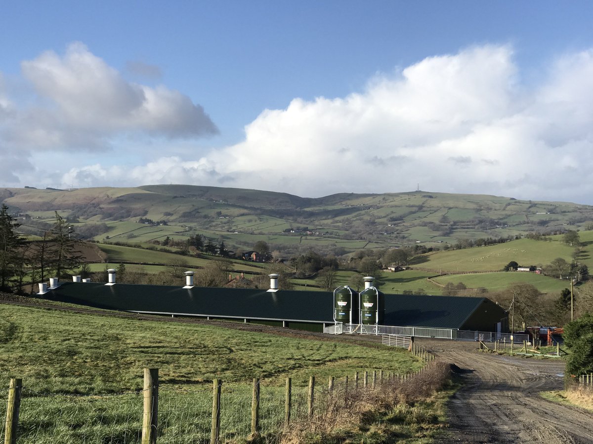 Powell_Ltd's tweet photo. Free Range unit finished in November with #ConnopConcrete #connops looking good in the Welsh sun yesterday https://t.co/7LwPnPohLq