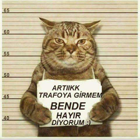 TahsinSaydam's tweet photo. SÖZ VERİYORUM 
BÜTÜN TRAFOLAR HAKKINDA 
KHK LAR ÇIKARIN 
#BEN TRAFOYA GİRMEYECEĞİM 
#MECBUR ETME BENİ https://t.co/TyN8RwqfD0