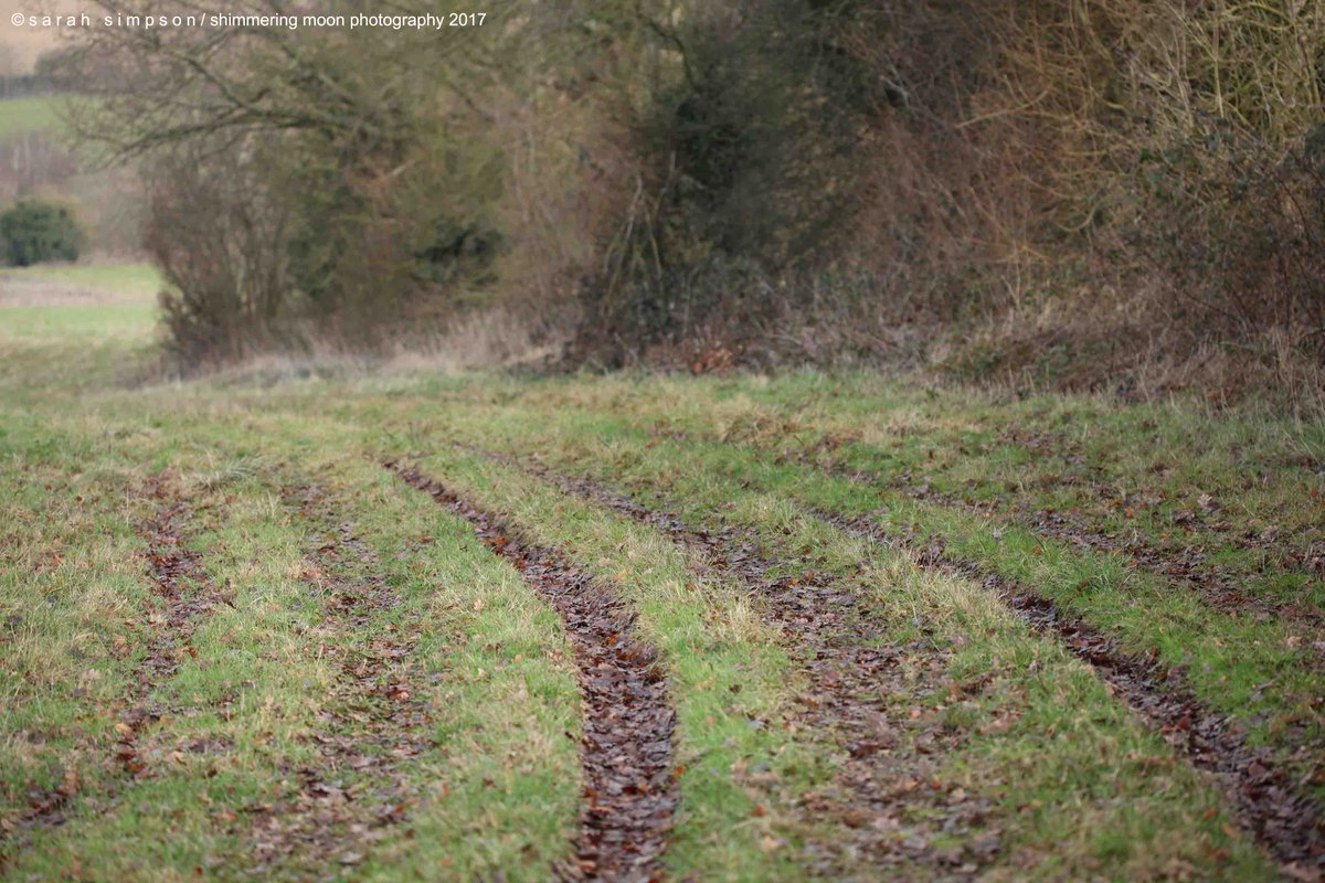 shimmeringmoon_'s tweet photo. This morning's walk in the #kentcountryside ... #muddypaths #winter https://t.co/OKW6cJG1O5