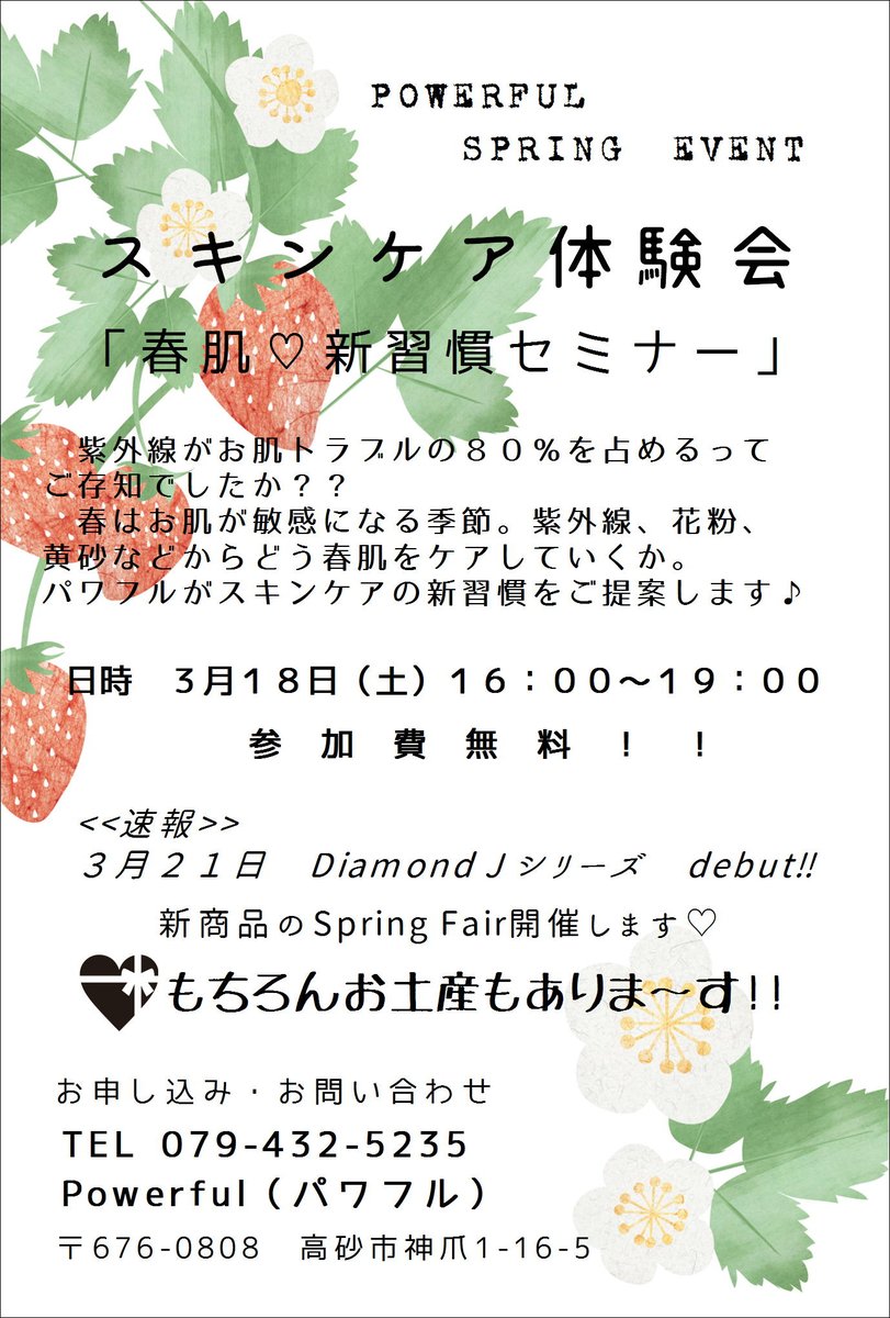 さきちん絵葉書 さきちん絵葉書