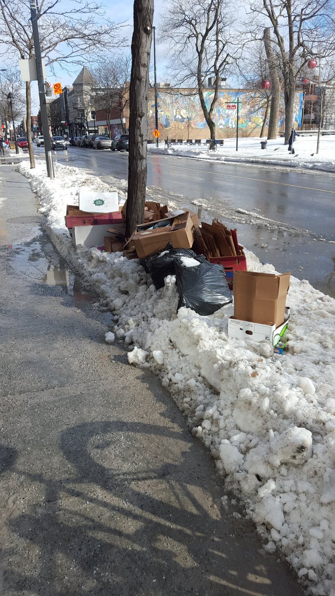OlivePressee's tweet photo. @DenisCoderre @LePMR @Val_Plante @LucFerrandez 
Aucun ramassage des poubelles  sur Ave MRoyal depuis plusieurs jours... 
#polmtl https://t.co/bw2mCIJ2uX