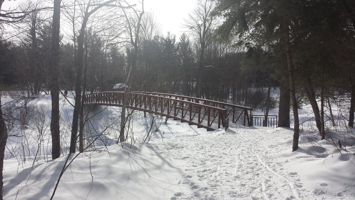 kvallevand's tweet photo. Walking in a #WinterWonderland in the #GatineauPark today! #outaouaisfun #ShareYourWeather #scenesofwinter https://t.co/Z6YJsW6VK5