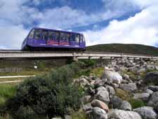 InsiderScot tweet picture