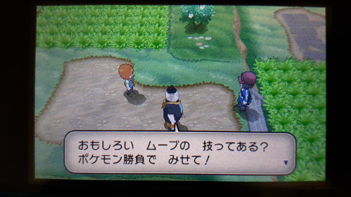 ポケモンx ズルズキン一人旅ハイライト ポケモンx ズルズキン一人旅ハイライト
