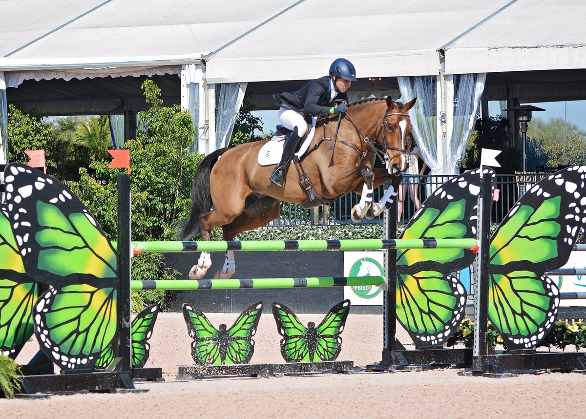 Love this photo of Deniro Z showing how class he is in the biggest track he has ever jumped! So excited for his future - such a good boy ❤😍🌟