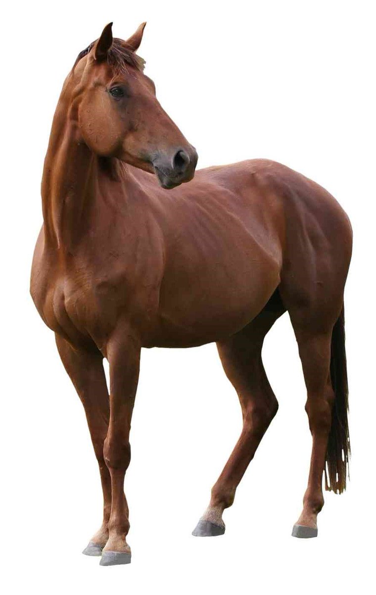 Cryonic Medical UK tweet media