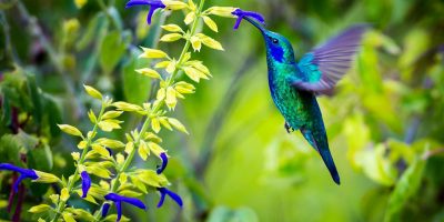 Today's The Day For tweet media