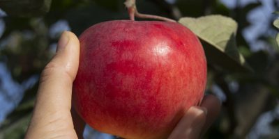 Today's The Day For tweet media