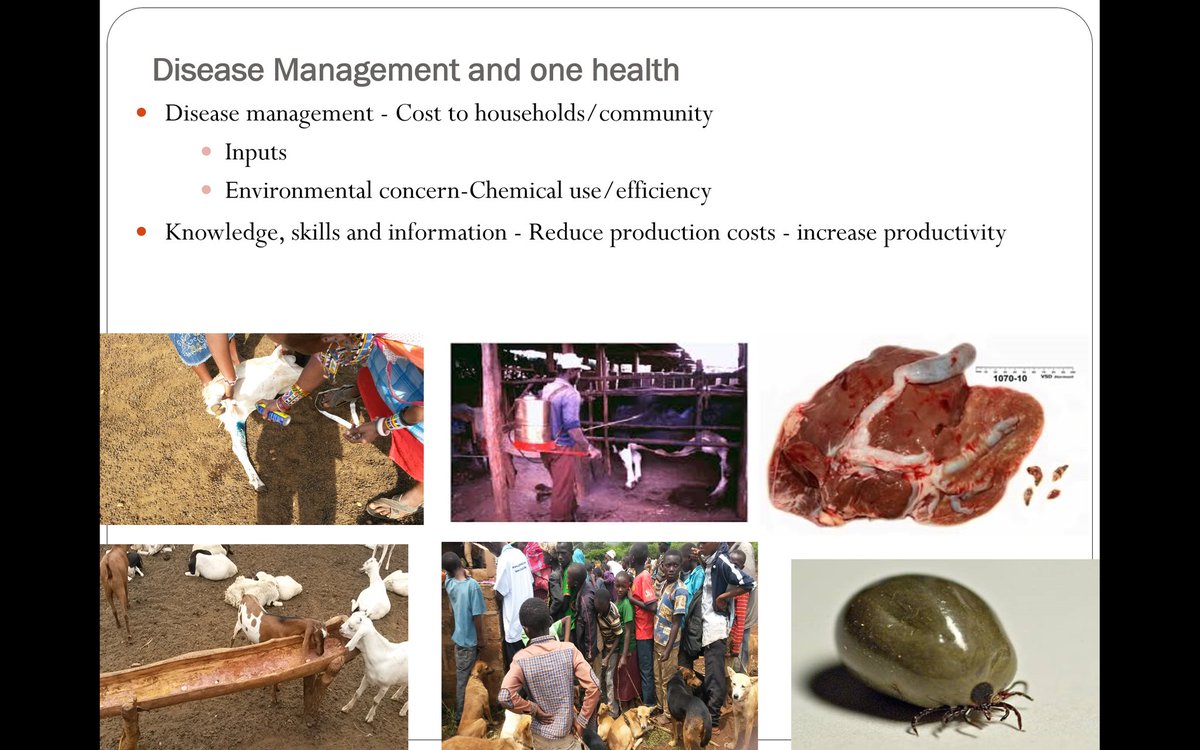 wildlifediseAME's tweet photo. Oscar Koech during #Grazing4ChangeKE : highlights course modules to be offered by the Mara Training Institute (see attached photos) https://t.co/vNV24MuQWg