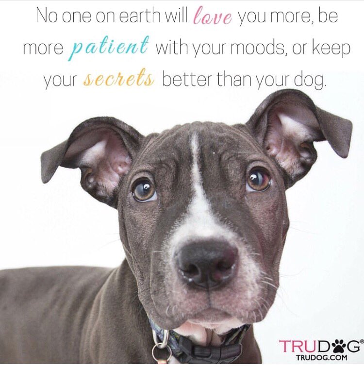 TruPet's tweet photo. 💕🐶 https://t.co/s7UFIkuJue