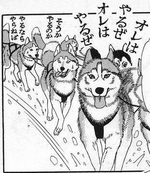 アフリカの呪術師といえばあの人しか出て来ない 30年経った今なお瞬時に思い浮かぶ 動物のお医者さん Togetter