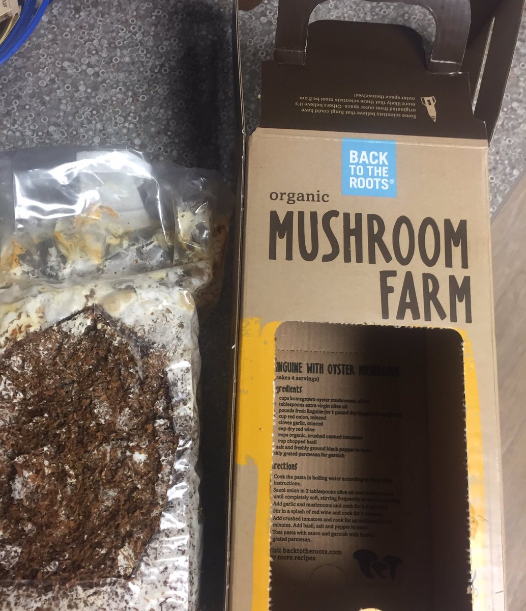 JoshLSnyder's tweet photo. Look what joined us today. That's right, #MushroomFarm! Thanks @sodexoUSA #MushroomPower #AVExplorers #EdibleLearning #FunGi https://t.co/BwWBfudM76