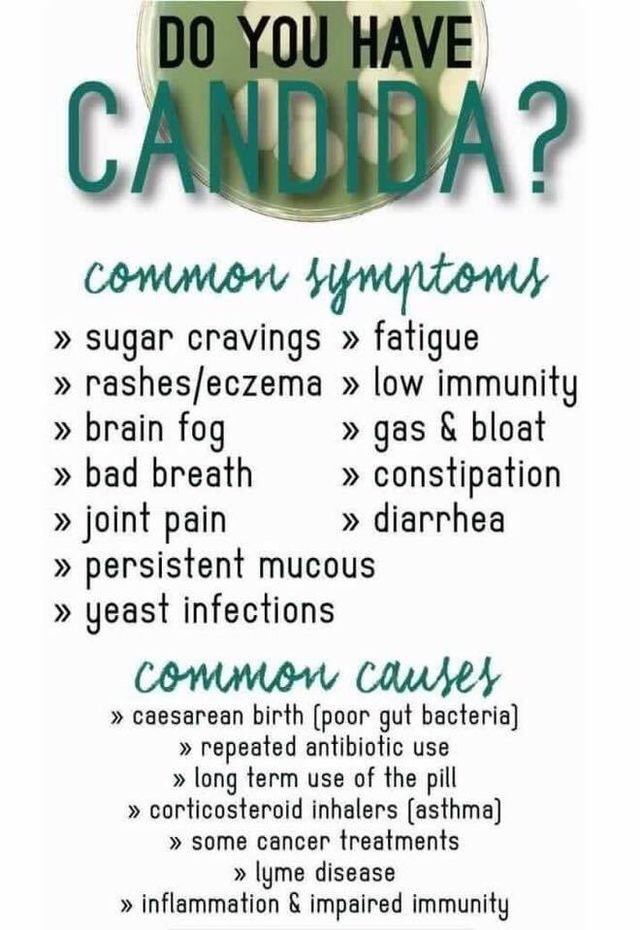 tinabennett68's tweet image. #notaquickfix #plexus