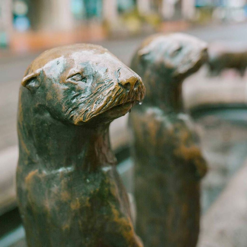 KQconcepts's tweet photo. If I were an otter, maybe I'd be happier about all this rain. #needvitaminD https://t.co/MR8SLOEMTn https://t.co/vSXqNhH3Cn