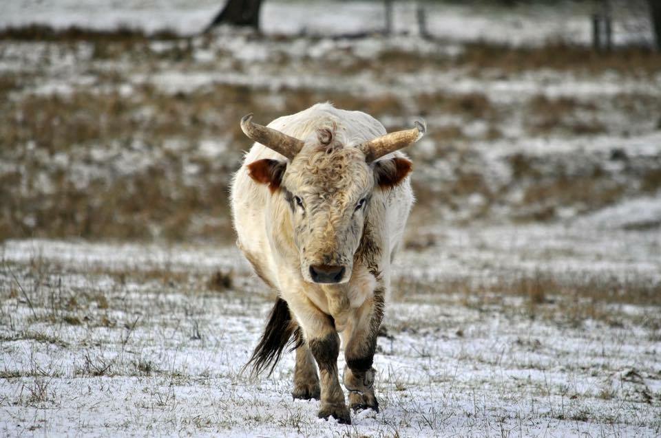 North Tourism Fair tweet media