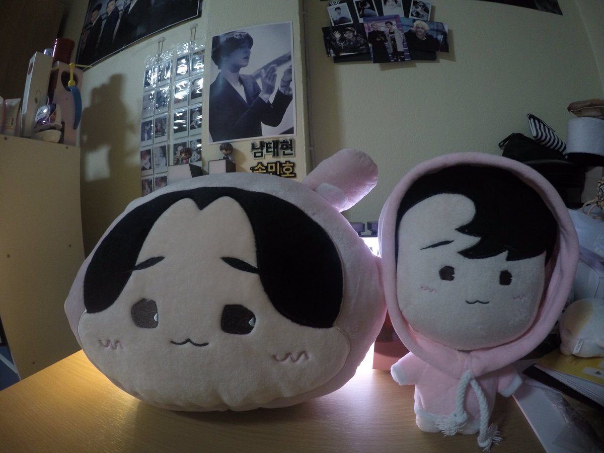 yyuii_iiuyy's tweet photo. รีวิวหมอนกับตุ๊กตาน้องนัมแบบกากๆ พอดีแบตกล้องหมด 😅 https://t.co/ufaLTs2xGl