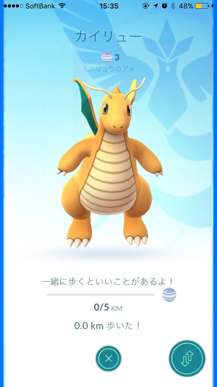 ポケモン プラチナ カイリュー 最高のイラストと図面