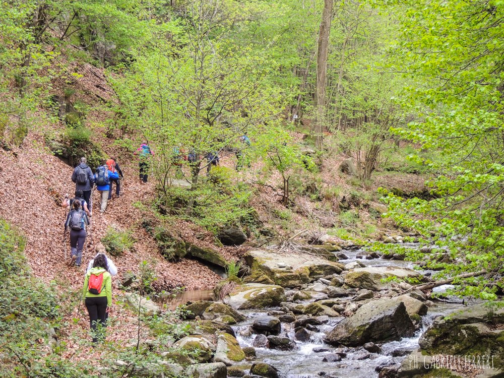 dumacanduma's tweet photo. Con Kalipè proponiamo esperienze in Natura per il Team Building https://t.co/DeN7BntJ6r https://t.co/RLMPUow5zC