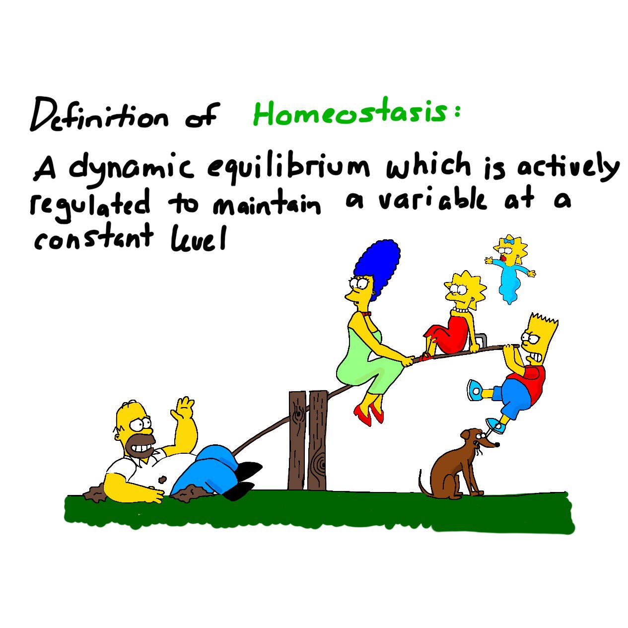 Bogobiology On Twitter Homeostasis Active Regulation Of A Dynamic Equilibrium To Keep A Variable At A Constant Level Homeostasis Apbio Https T Co Jyiq9chach Https T Co Na9nqyalgt