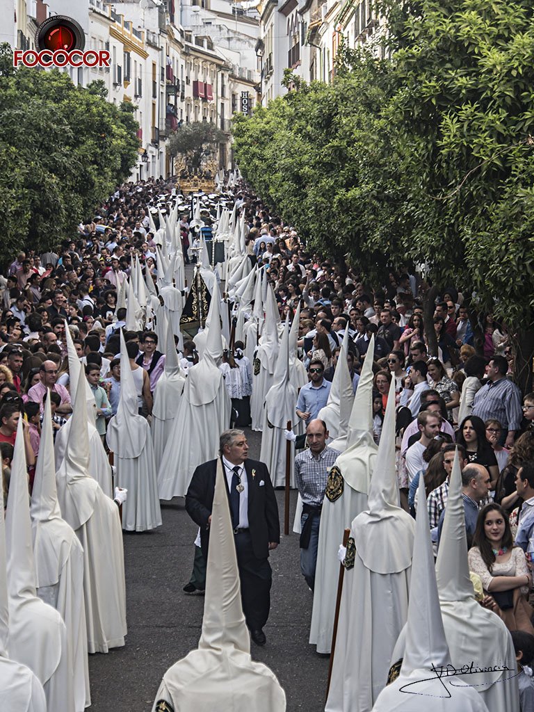 Título: "Huerto entre naranjos"
Autor: Víctor Olivencia Castro
Hermandad: <a href="/HdadelHuerto/">Hdad. Huerto Córdoba</a> - <a href="/GJHdadelHuerto/">GJ Hdad. del Huerto</a>