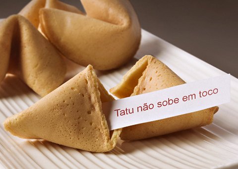 ciraodamassa's tweet photo. o biscoito cearense sempre vem com um provérbio de sabedoria https://t.co/2sCHnEYPav