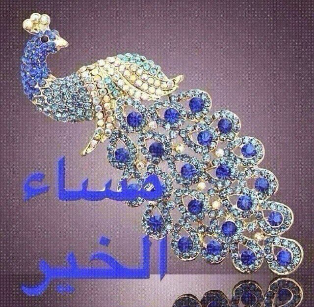 @AmiraSosia <a href="/mona_kh11/">Sindrilla</a>