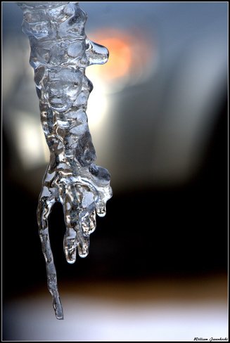 TheWeatherNetUS's tweet photo. "Icy fingers" 📷 by William Javenkoski
Thank you for sharing your #ScenesOfWinter w/ us! Be sure to upload yours here https://t.co/PJXCsNyKut https://t.co/Mj1DU8bTMo