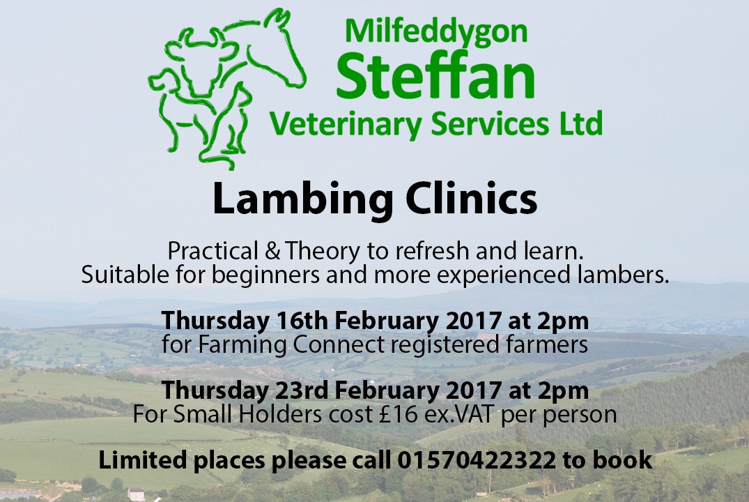 Steffan Vets tweet media