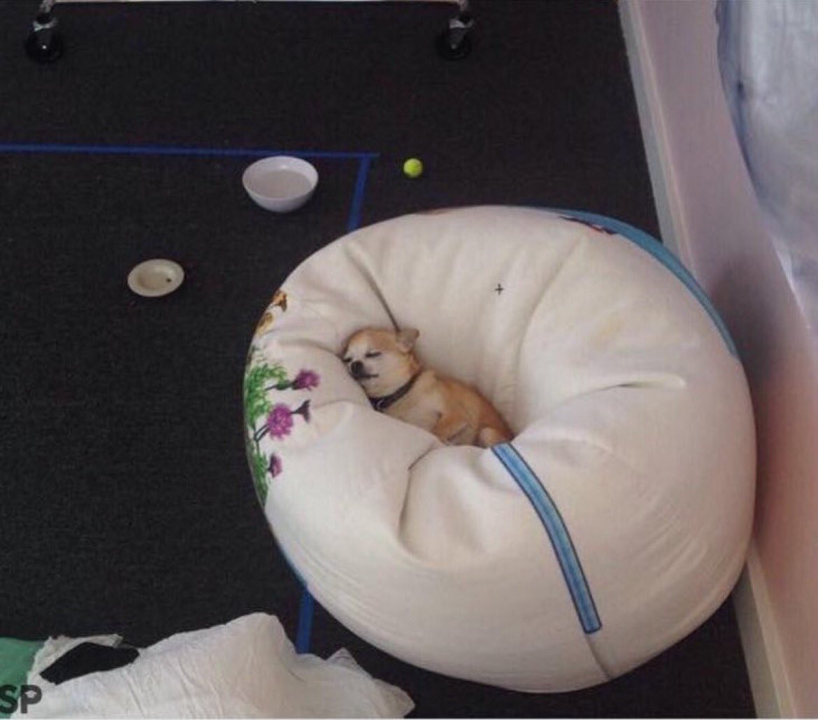 how i be sleepin after a bomb ass meal