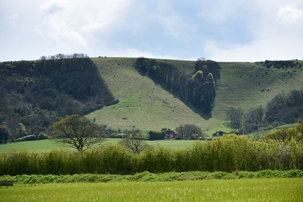 Ian Rideout (@RideoutIan) | Twitter