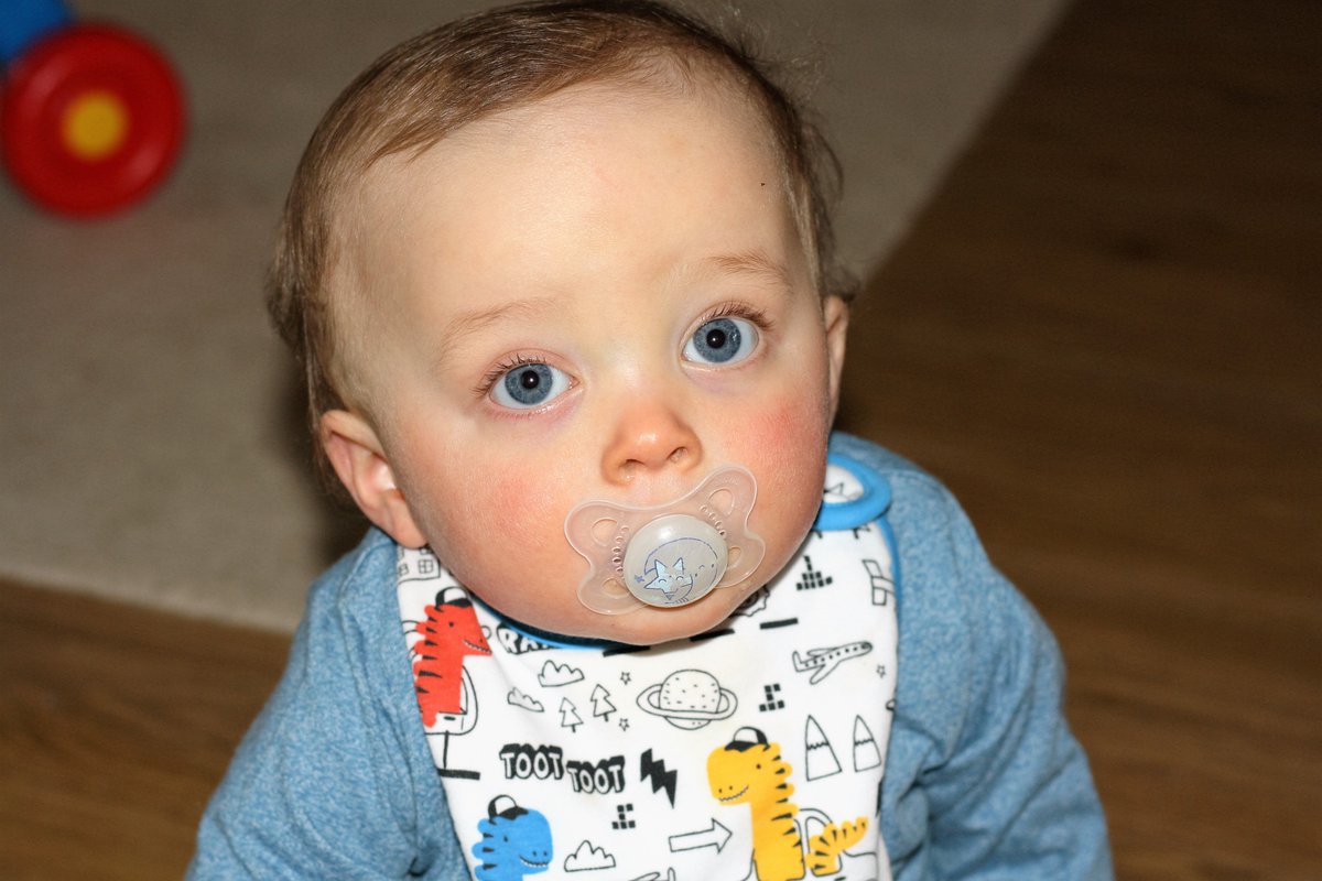 woodsbutchers (@woodsbutchers1) on Twitter photo 