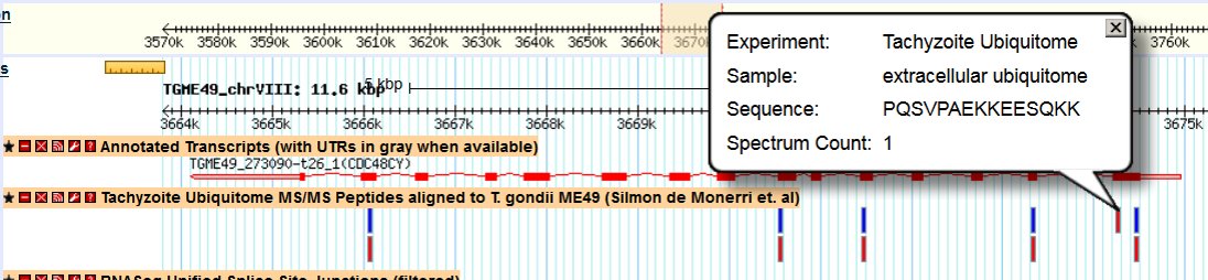 veupathdb's tweet image. Tachyzoite Ubiquitome - proteomics data from the Kim lab is now in #ToxoDB 30  PMID: 26567513