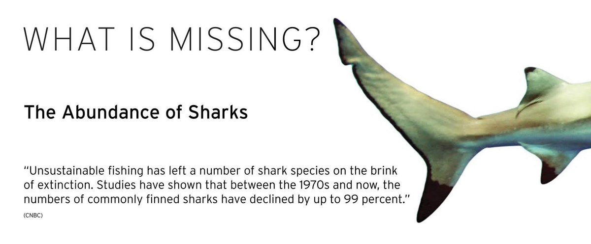 What Is Missing? tweet media