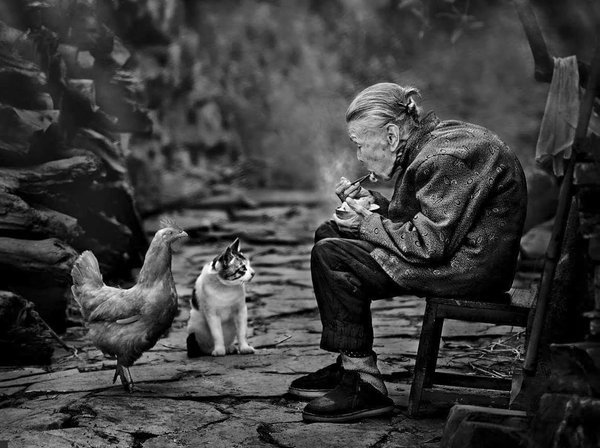 plus1haber's tweet photo. Yol karardığında, Elveda diyen kişi, haindir.' -J.R.R. Tolkien https://t.co/QHL8D245Jl
