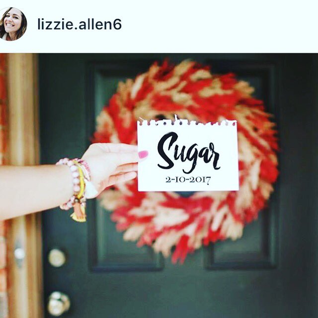 FDStudents's tweet photo. We're so excited that @fdstudents alumni @lizzie.allen6 is our photographer for #sugar2017 !Join the party @ https://t.co/SJZ8GrkPKw ! 💗❤️💁🏻 https://t.co/vlMps1zC7B