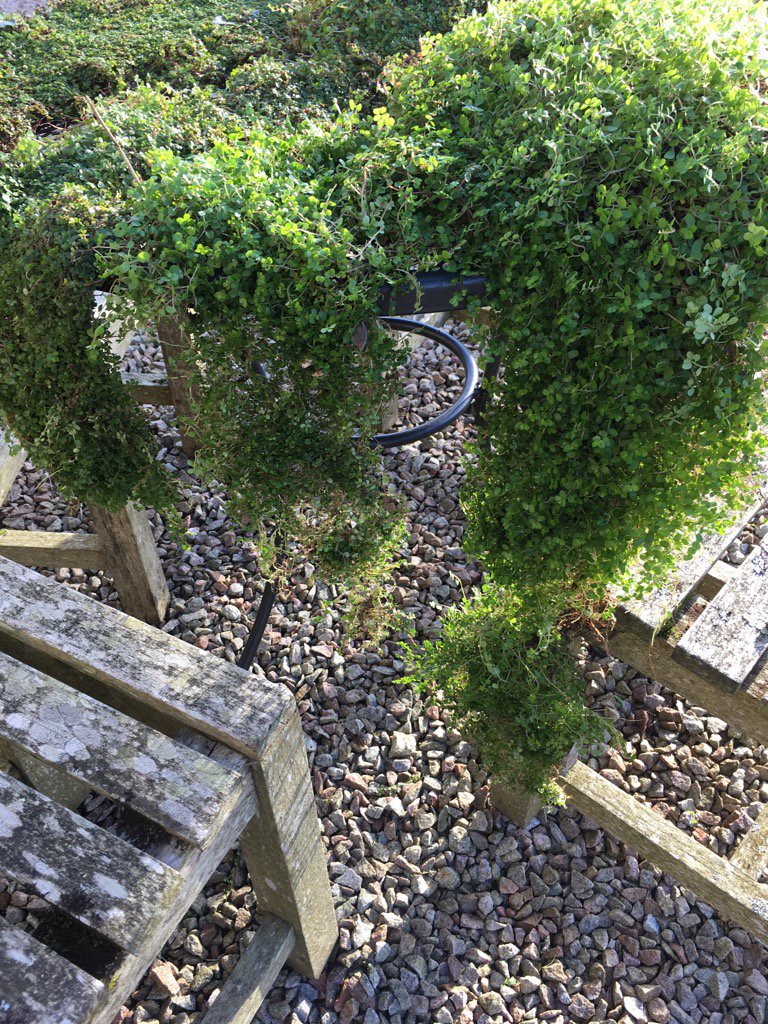 Foraging in the sunshine <a href="/tobylowe/">Toby Lowe</a>