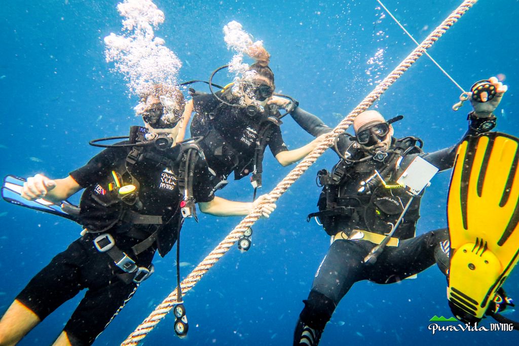 puravidadiving's tweet photo. Si estas buscando mas que una aventura! 🌏🌴☀️🌴
En PURA VIDA Koh Tao Diving es mas que solo bucear.... https://t.co/RN3PsCBKMu