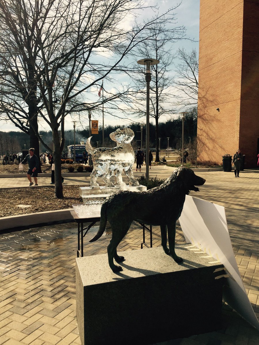 UMBCGradSchool's tweet photo. Ice pups and food trucks all over campus today #involvementfest #umbc #truegrit #trueice https://t.co/ucev2NrYks