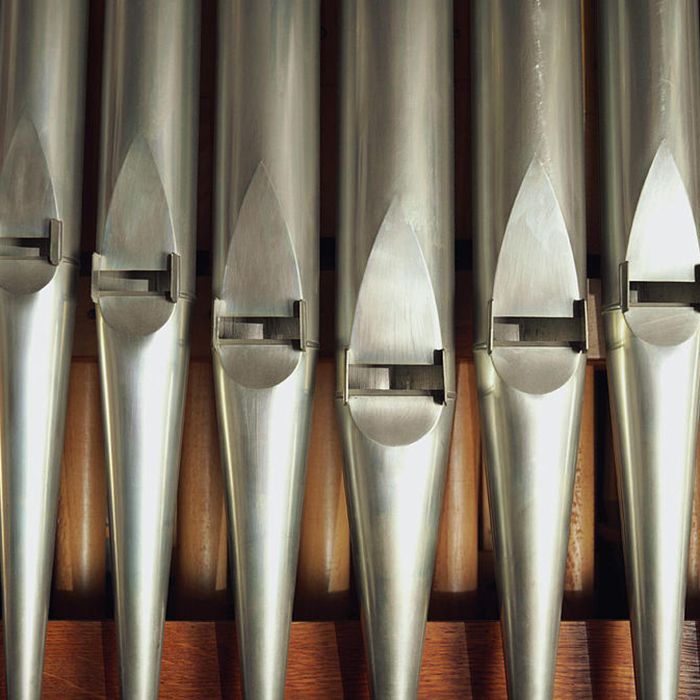 Calgary Classical tweet media