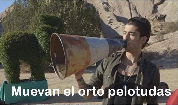 mariaines219's tweet photo. QUEDA POCO PARA Q TERMINEN LAS VOTACIONES! !!!
*Cada RT cuanta como un voto*
DIRECTIONERS BEST FANS
#BestFan2017 #oneDbestfans https://t.co/KL5EbF0rFc