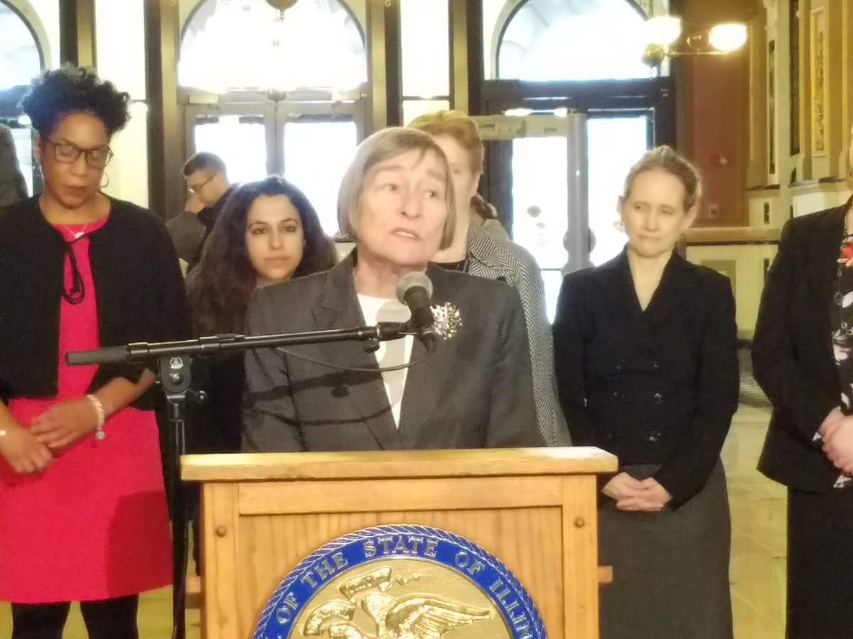 Leader Currie addresses the ACLU Rally - Announcement of Illinois Women Moving Forward Agenda.