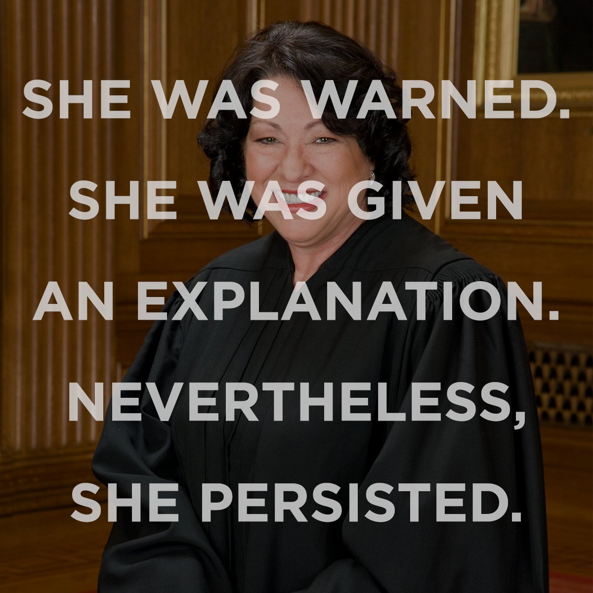 Image result for Senator Warren Persists